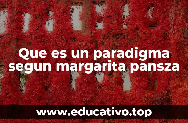 Que es un paradigma segun margarita pansza