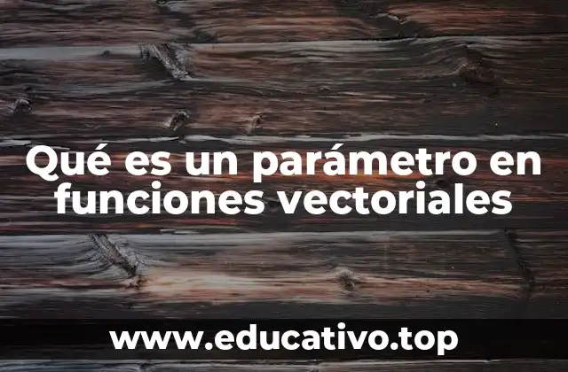 Qué es un parámetro en funciones vectoriales