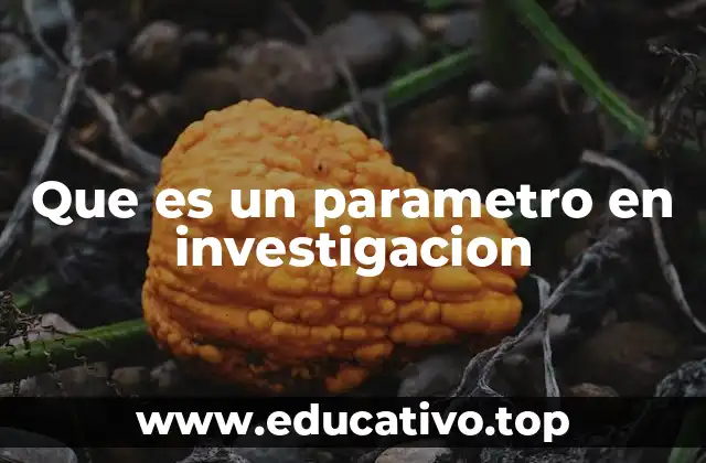 El papel de los parámetros en la metodología científica