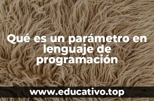 Qué es un parámetro en lenguaje de programación