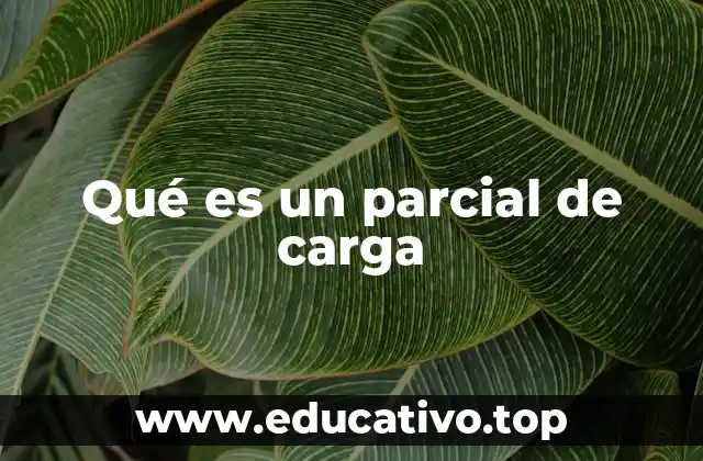 Qué es un parcial de carga