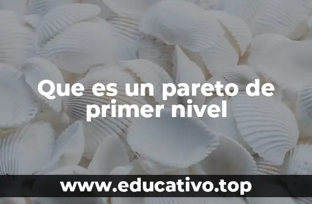 Que es un pareto de primer nivel