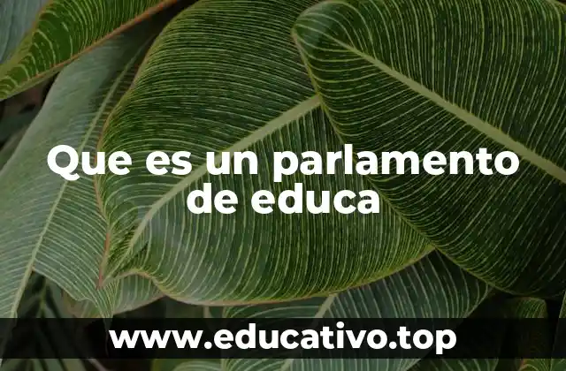 Que es un parlamento de educa
