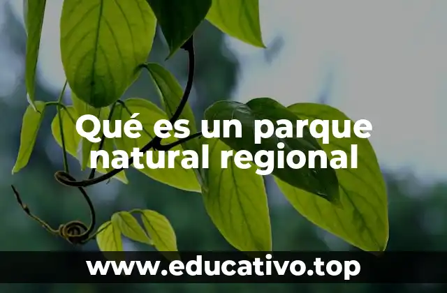 Qué es un parque natural regional