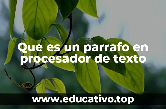 Que es un parrafo en procesador de texto