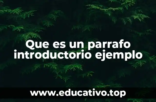 Que es un parrafo introductorio ejemplo