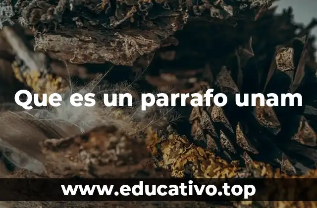 Que es un parrafo unam