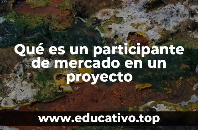 Qué es un participante de mercado en un proyecto