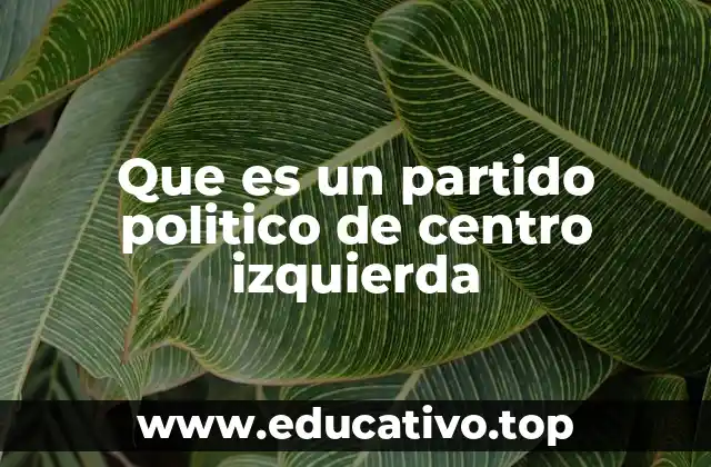 Que es un partido politico de centro izquierda
