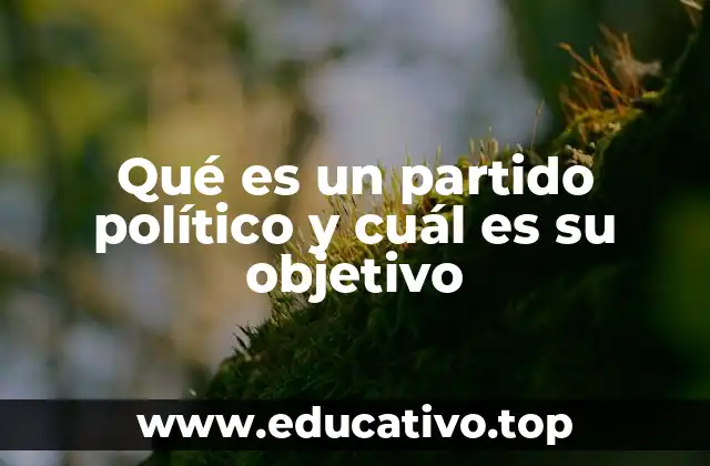 Qué es un partido político y cuál es su objetivo