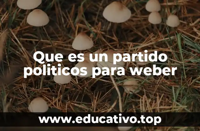 Que es un partido politicos para weber