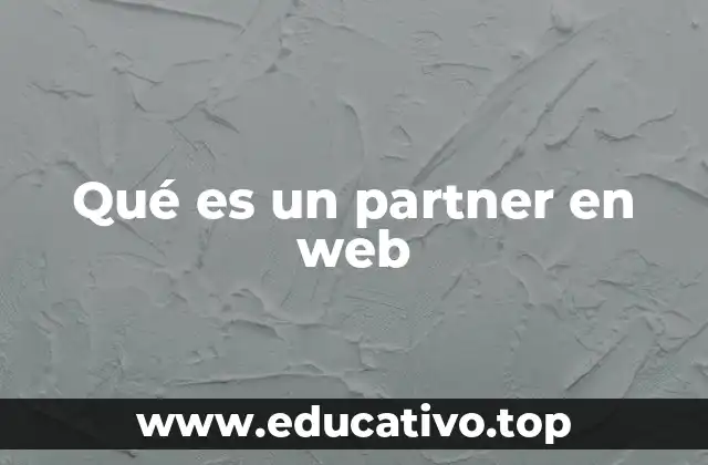Qué es un partner en web