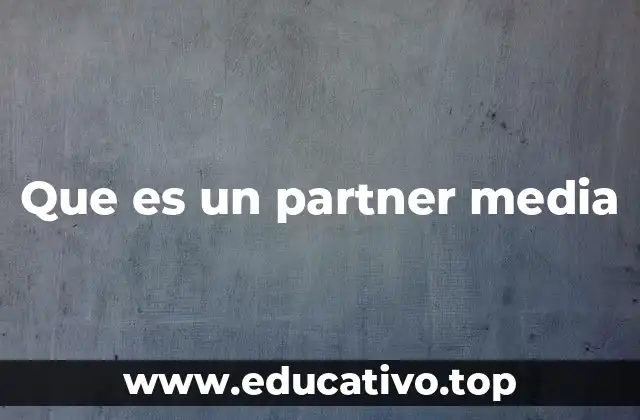 Que es un partner media