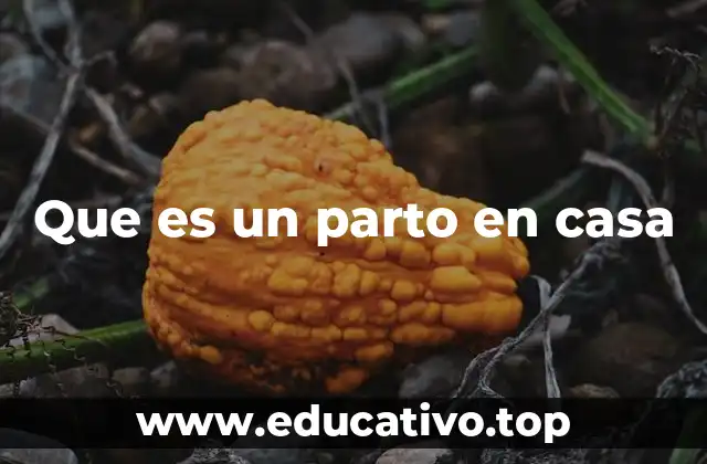 Que es un parto en casa