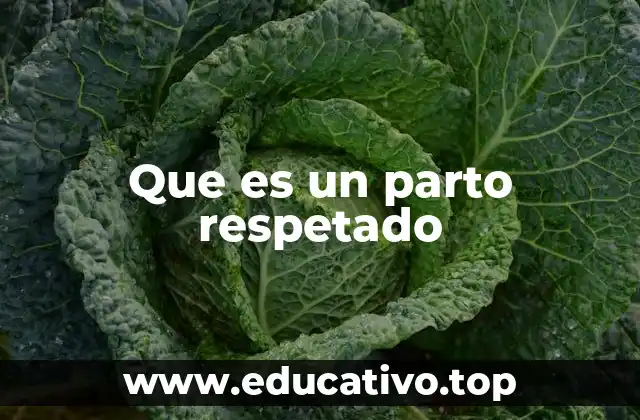 Que es un parto respetado