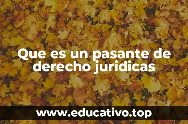 Que es un pasante de derecho juridicas