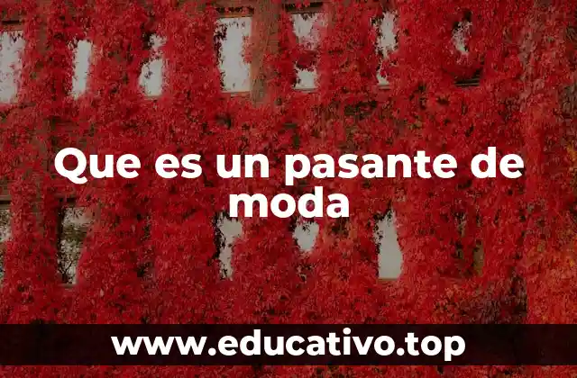 Que es un pasante de moda