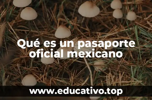 Qué es un pasaporte oficial mexicano
