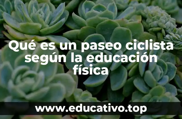 Qué es un paseo ciclista según la educación física