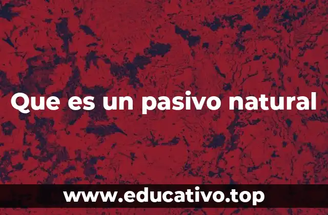 Que es un pasivo natural