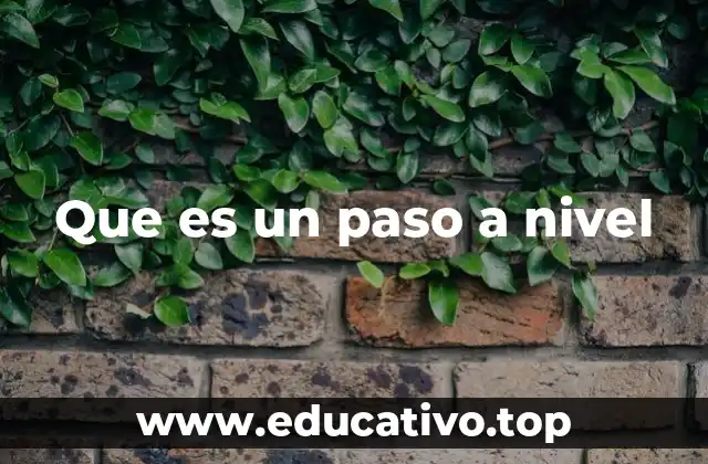 Que es un paso a nivel
