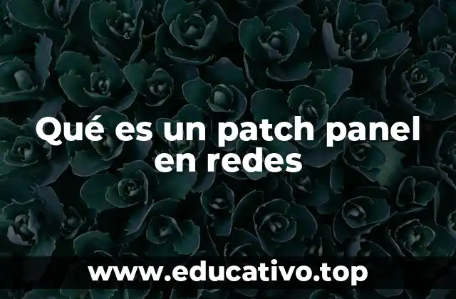 Qué es un patch panel en redes
