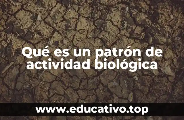 Qué es un patrón de actividad biológica