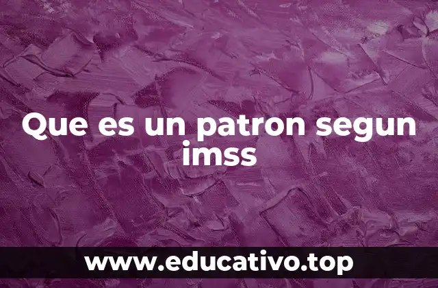 Que es un patron segun imss