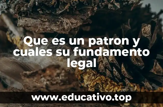 El rol del patron en la relación laboral