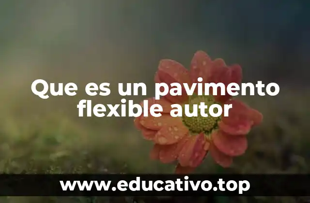 Que es un pavimento flexible autor