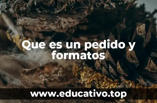 Que es un pedido y formatos