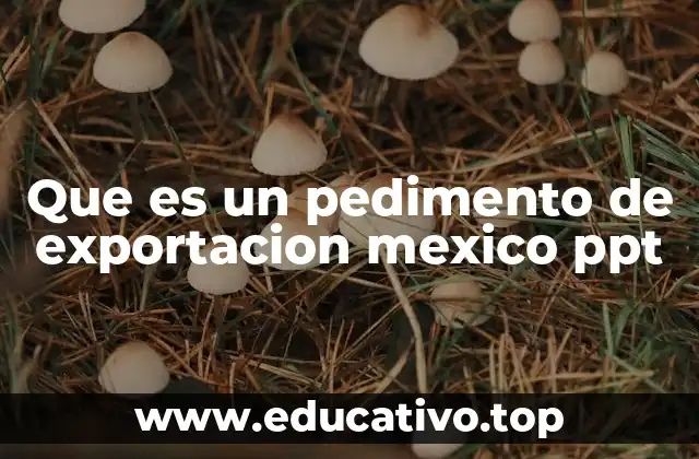 Que es un pedimento de exportacion mexico ppt