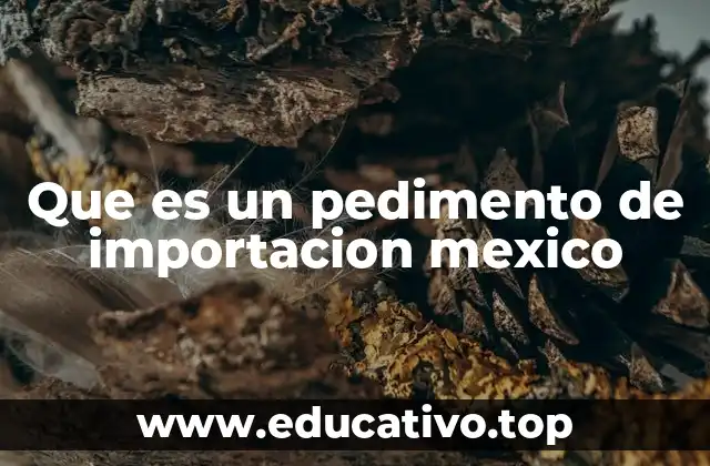 Que es un pedimento de importacion mexico