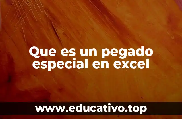 Que es un pegado especial en excel