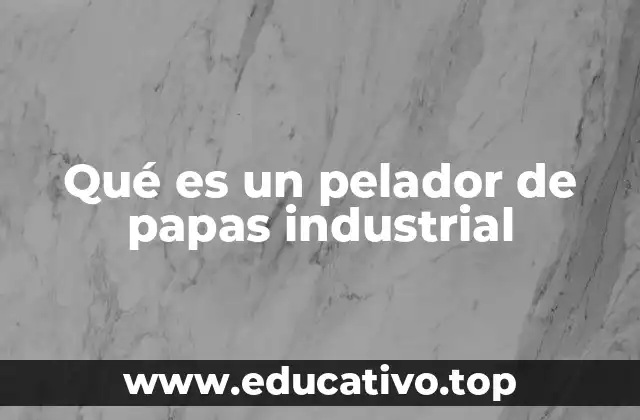Qué es un pelador de papas industrial