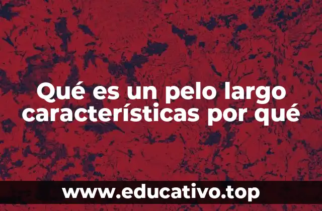 Qué es un pelo largo características por qué