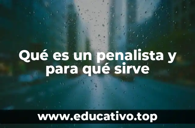 Qué es un penalista y para qué sirve