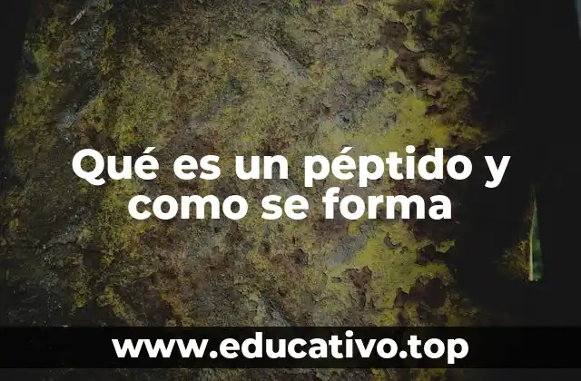 Qué es un péptido y como se forma