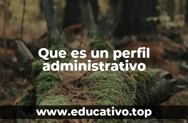 Que es un perfil administrativo