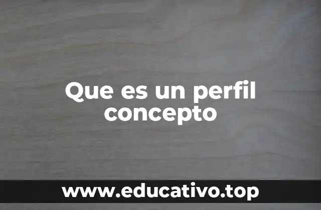 Que es un perfil concepto