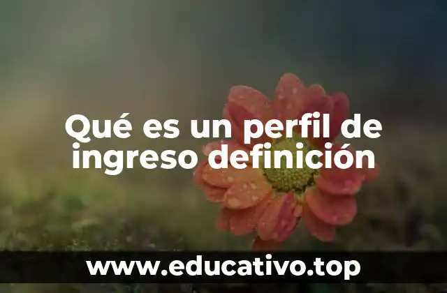 Qué es un perfil de ingreso definición