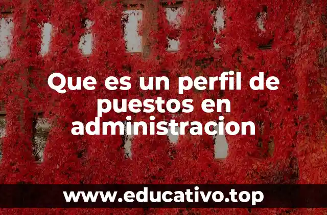 Que es un perfil de puestos en administracion