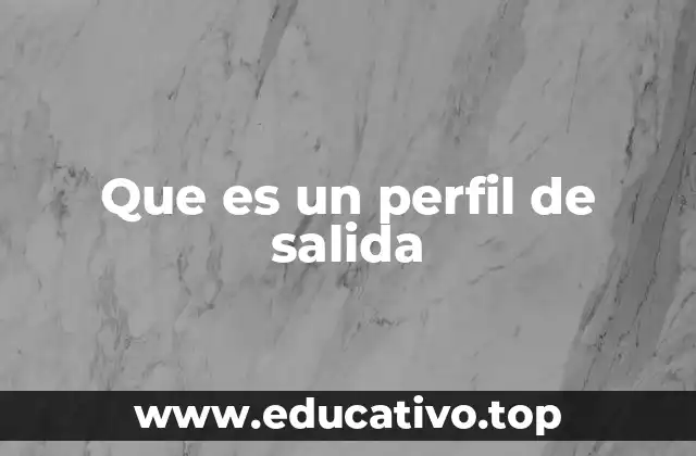 Que es un perfil de salida
