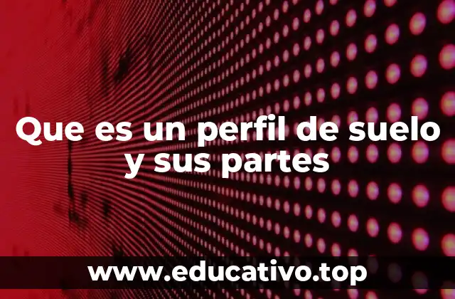 Que es un perfil de suelo y sus partes