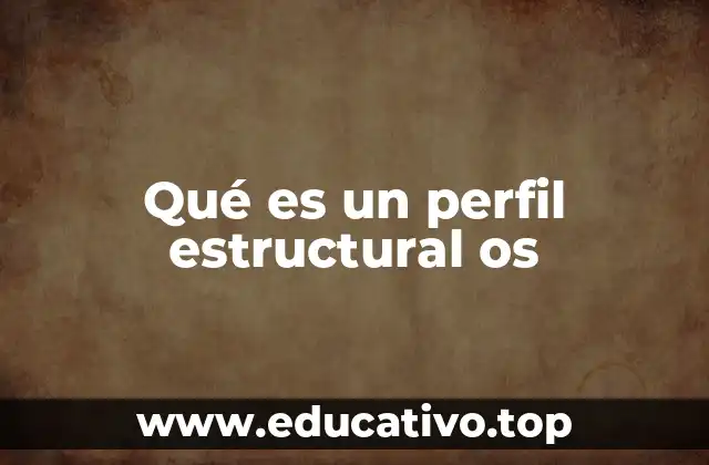 Qué es un perfil estructural os