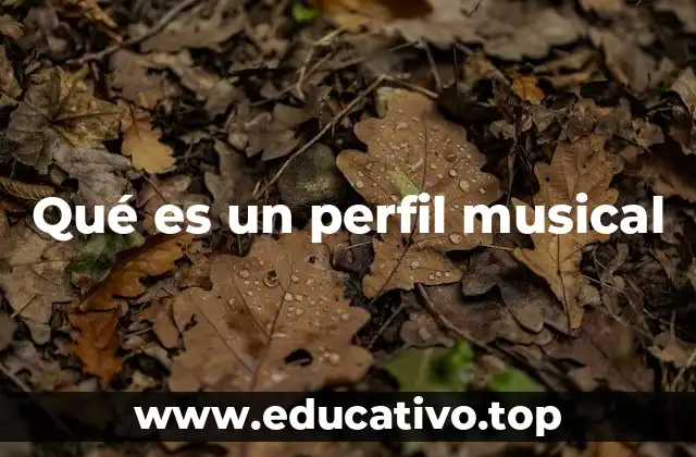 Qué es un perfil musical