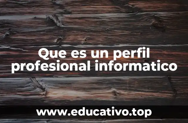 Que es un perfil profesional informatico