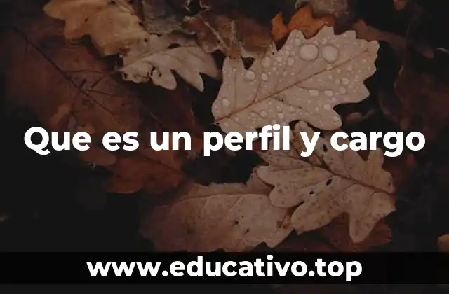 Que es un perfil y cargo