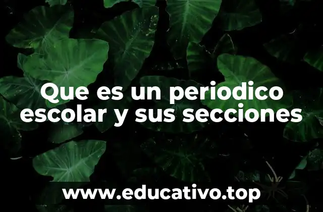 Que es un periodico escolar y sus secciones