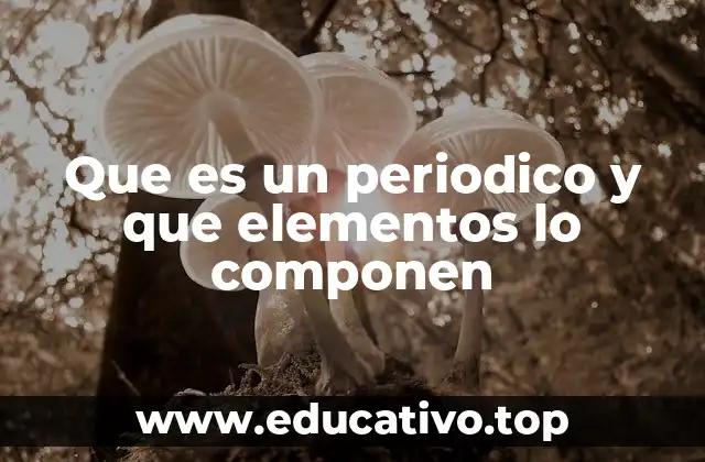 Que es un periodico y que elementos lo componen